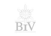 Logo vom BiV